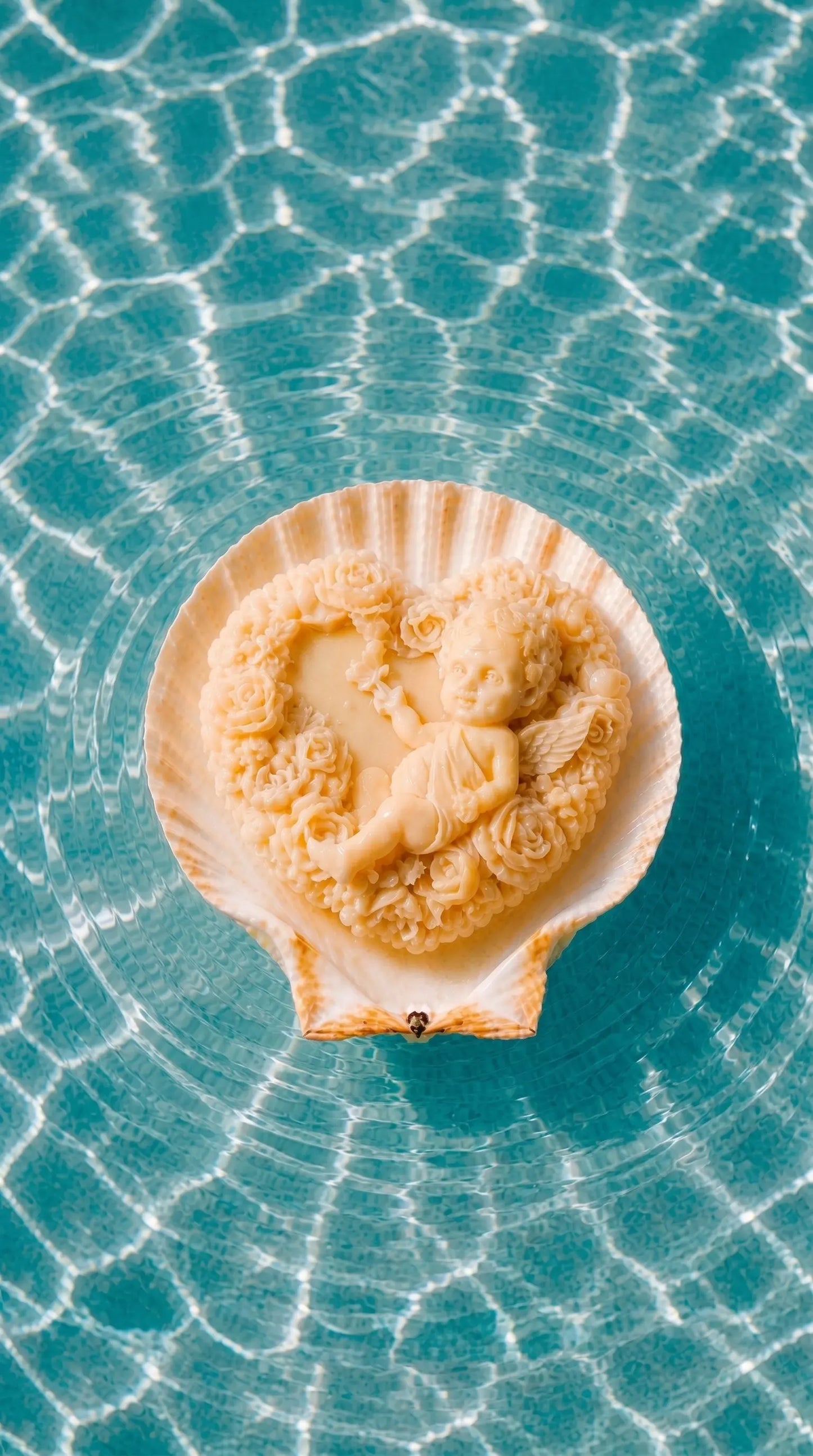 The Aegean Shell — Natural Sea Shell Soap Holder Deos Co.