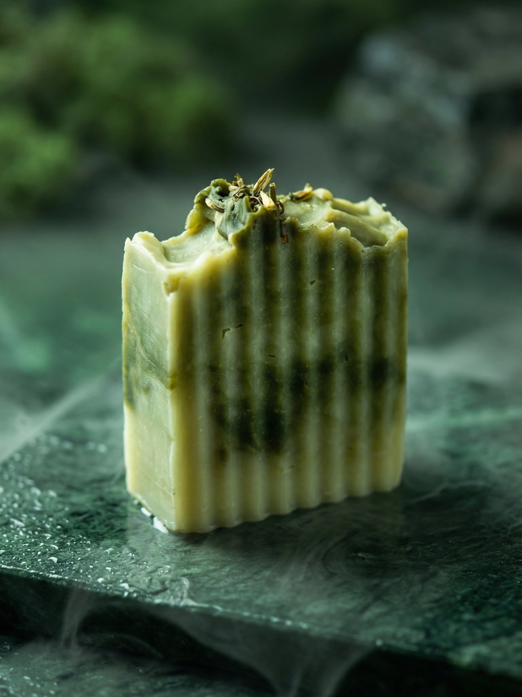 Rectangular block of green olive oil spirulina soap on a dark green leaf