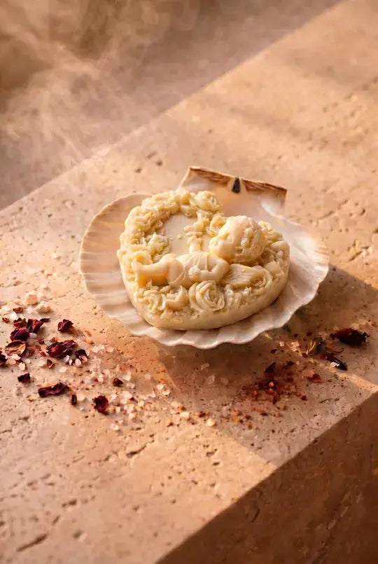 The Aegean Shell — Natural Sea Shell Soap Holder Deos Co.