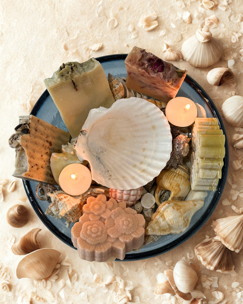 Sea Shell Soap Holder