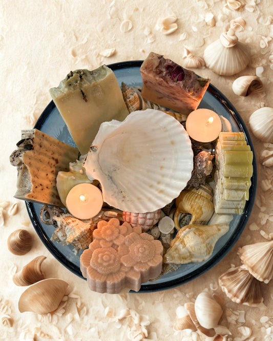 Seashell Soap Holder