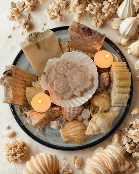 Sea Shell Soap Holder