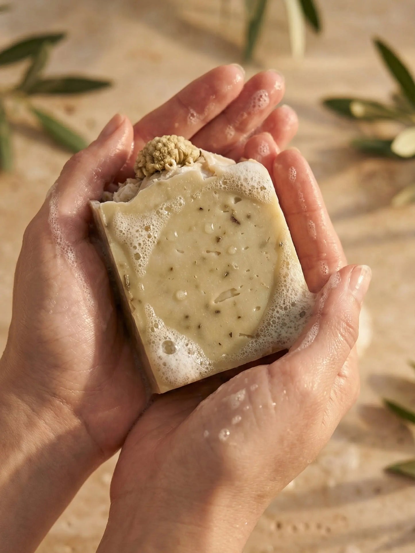Natural basil olive oil soap in hands with soft foam, moisturizing herbal bar soap for sensitive skin, clean beauty skincare product