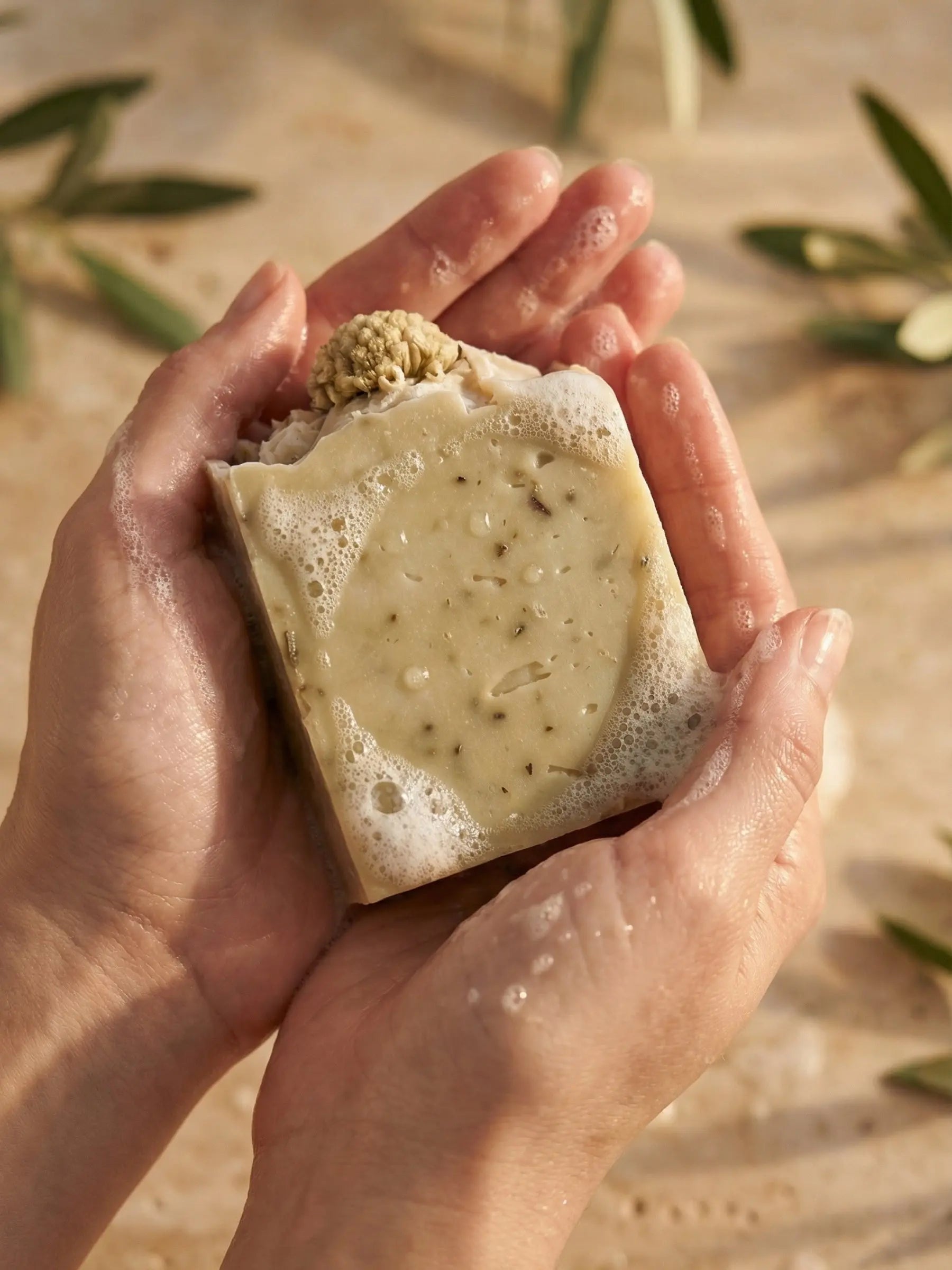 Natural basil olive oil soap in hands with soft foam, moisturizing herbal bar soap for sensitive skin, clean beauty skincare product